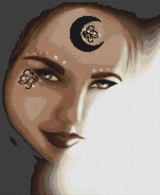 (image for) Shadow Priestess